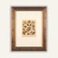 Newly Framed Vintage Shell Print (1880) – hand-colored engraving Carousel 1