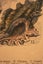 Newly Framed Vintage Shell Print (1880) – hand-colored engraving Carousel 2