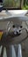 Drone Carousel 5