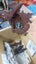 Antique Large Cuckoo clock (German), Carousel 9