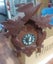 Antique Large Cuckoo clock (German), Carousel 1