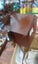 Antique Large Cuckoo clock (German), Carousel 5