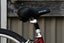 Giant Elwood small/ medium 29in mountainbike GLENFIELD Carousel 5