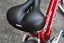 Giant Elwood small/ medium 29in mountainbike GLENFIELD Carousel 12