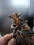 **Beautiful ornamental deer head Clock** Carousel 2