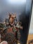 **Beautiful ornamental deer head Clock** Carousel 3