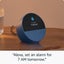 All-new Amazon Echo Spot Alexa Smart Hub - Blue Carousel 5