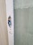 Wood and Glass Single Door Leaf 860 W x 1970 H [#4745] Carousel 3