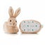 Peter Rabbit’s Cozy First Booties Set -B7 Carousel 2