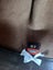 Genuine Australian Light Horse slouch hat Carousel 6