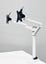 Ar-Ray Dual Monitor Arms | White | Used Carousel 3