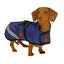 Firefoot Dachshund Fleece Lined Outdoor Dog Coat Carousel 1