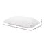 Set Of 2 Rayon Single Memory Foam Pillow Pillows Giselle Bedding Carousel 2