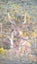 Guided Hunting - Auckland, Waikato, Hawkes Bay Carousel 1