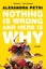 Nothing Is Wrong and Here Is Why by Alexandra Petri - Paperback Carousel 1
