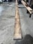 4.73 LM 150 × 55 mm A-Grade Black Maire Timber (Kiln-Dried) Carousel 6