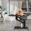 109Cm Hydraulic Pet Grooming Table Heavy Duty Dog Grooming Arm For Medium / S... Carousel 8