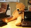 Teddy Bear Carousel 6