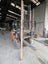 3.19 LM Rewarewa Timber Board – 83 × 38 mm (Kiln-Dried) Carousel 9