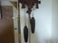 CUCKOO CLOCK 8 DAY GERMAN SCHATZ. Carousel 5