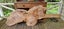 Totara slab Carousel 1
