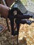 Blacksmith Vice . Carousel 3