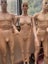 Mannequin Carousel 1