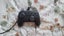 (PRICE REDUCED!) Nintendo switch with pokemon sword game SD card and accesories Carousel 5