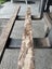 5.2LM B-Grade Black Maire Timber – 100×52mm (Kiln-Dried) Carousel 3