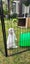 Mini Lop Bunny with accessories Carousel 4