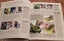 Herbal Medicine & Natural Healing Remedies Carousel 6