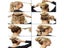 S/M/L Hair Bun Maker Elegant Women Ladies Girls Magic Ponytail Shaper Donut Carousel 5