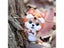 Non-Finished Kit Cute Bear Fox Rabbit Shiba Inu Animal Wool Needle Felt KIT Carousel 1