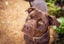 Coco - Chance 4 Change Carousel 1