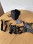 Bushnell Legend UltraHD 42x8 Carousel 3