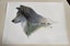 Print by West Auckland Artist Laura Layton Carousel 1