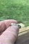 1ct Natural Diamond 18K white gold Ring Carousel 3