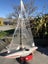 Radio control model yacht EC12 Carousel 4