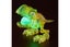 Massive Zuru Smashers - Dino Island (T-Rex) Carousel 5
