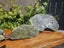 40lb+ Nelson jade bundle Carousel 10