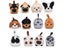 No Finish DIY Handmade Cute Siamese Maine Cat Pug Bulldog Animal Wool Needle Carousel 3
