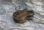 Padlock Victorian Antique Carousel 5