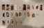Collection of Cigarette Cards Carousel 3