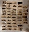 Collection of Cigarette Cards Carousel 4