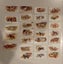 Collection of Cigarette Cards Carousel 12