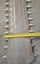 SAW FISH BILL (ROSTRUM) Carousel 4