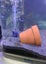 Fish Tank Carousel 3