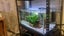 115L Community Tank w Lights&Filters Carousel 1