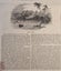 1842 Original Wellington & Tahiti Engravings - Illustrated London News Carousel 2