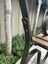 Antique Park Bench circa 1850 / Garden Furniture Carousel 5